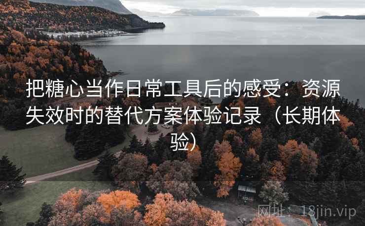 把糖心当作日常工具后的感受：资源失效时的替代方案体验记录（长期体验）