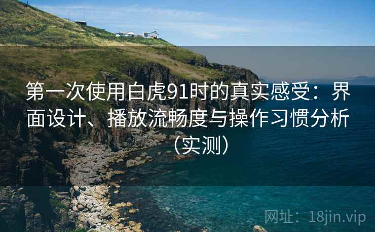 第一次使用白虎91时的真实感受:界面设计、播放流畅度与操作习惯分析(实测) 第一次使用白虎91时的真实感受:界面设计、播放流畅度与操作习惯分析(实测)