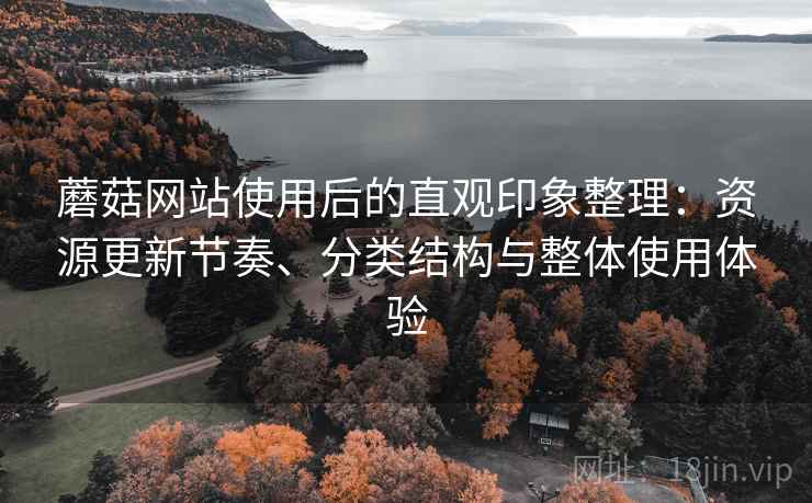 蘑菇网站使用后的直观印象整理:资源更新节奏、分类结构与整体使用体验 蘑菇网站使用后的直观印象整理:资源更新节奏、分类结构与整体使用体验