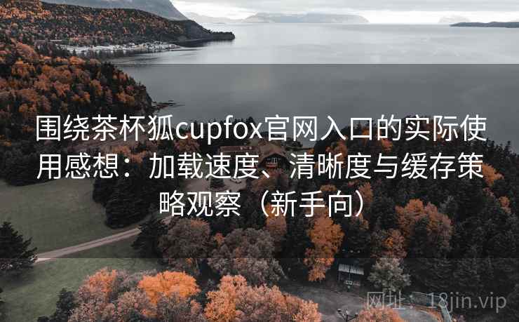 围绕茶杯狐cupfox官网入口的实际使用感想：加载速度、清晰度与缓存策略观察（新手向）